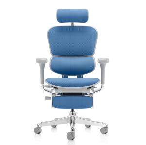 ERGOHUMAN MED - Poltrona ergonomica - Schienale e sedile in RETEMESH con rilascio di pressione differenziata poggiatesta 2D, sostegno lombare regolabile 6D, traslatore, braccioli 5D, STRUTTURA ALLUMINIO LUCIDO e base in nylon NERA O GRIGIA - CAM -
