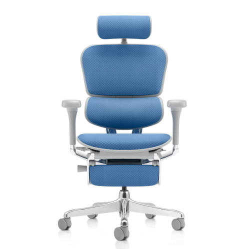 ERGOHUMAN MED - Poltrona ergonomica - Schienale e sedile in RETEMESH con rilascio di pressione differenziata poggiatesta 2D, sostegno lombare regolabile 6D, traslatore, braccioli 5D, STRUTTURA ALLUMINIO LUCIDO e base in nylon NERA O GRIGIA - CAM -