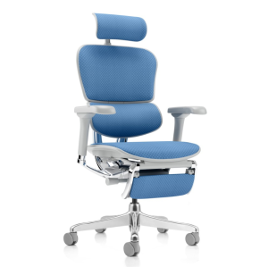 ERGOHUMAN MED - Poltrona ergonomica - Schienale e sedile in RETEMESH con rilascio di pressione differenziata poggiatesta 2D, sostegno lombare regolabile 6D, traslatore, braccioli 5D, STRUTTURA ALLUMINIO LUCIDO e base in nylon NERA O GRIGIA - CAM -