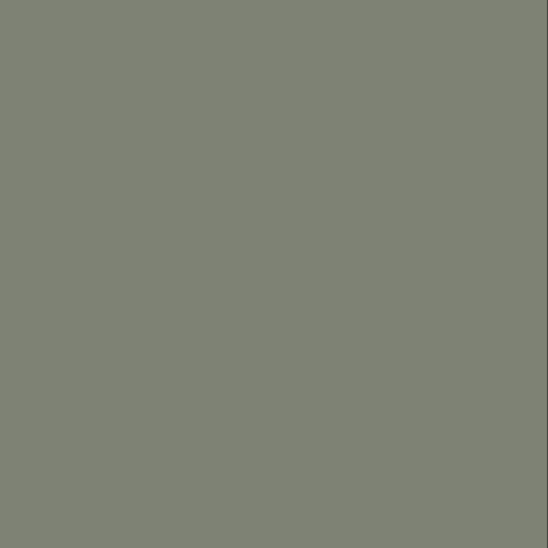 156 RAL 7033 VERDE
