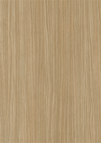 2X-F601 ROVERE TENUE MEDARDO
